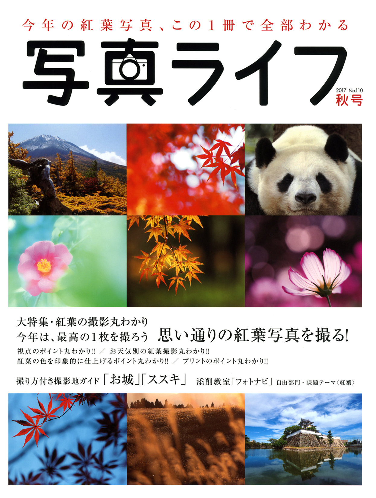 写真ライフno110 17 秋号 日本写真企画 フォトコン 写真ライフno110 17 秋号 日本写真企画 フォトコン
