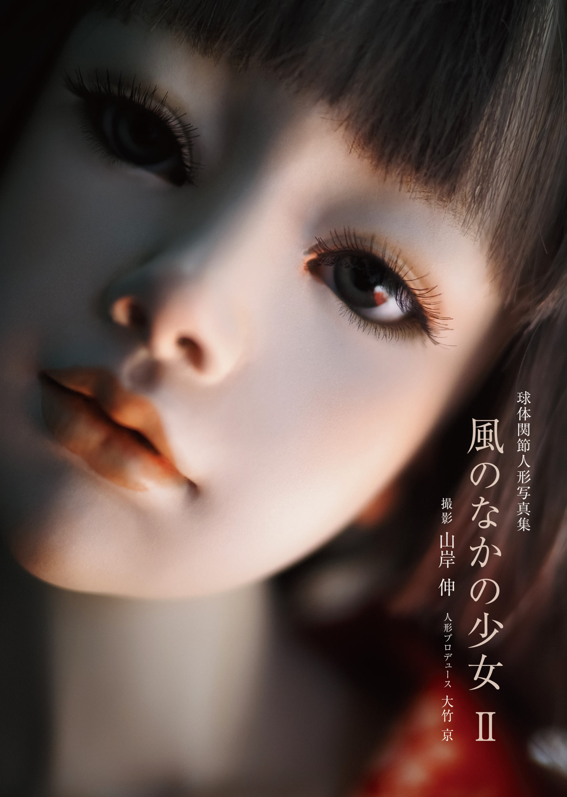 風のなかの少女 日本写真企画 フォトコン 風のなかの少女 日本写真企画 フォトコン