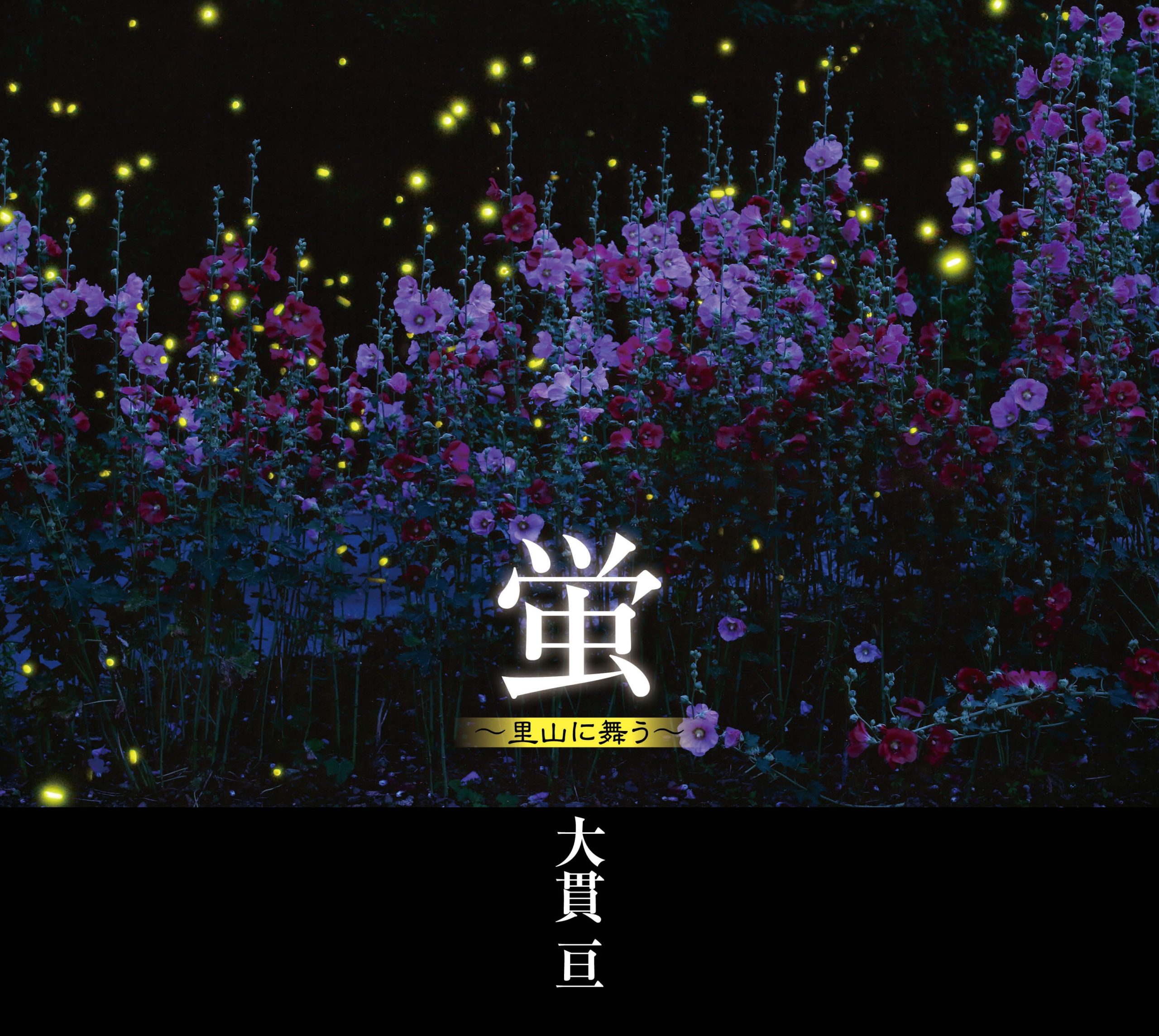 蛍 – 日本写真企画 フォトコン