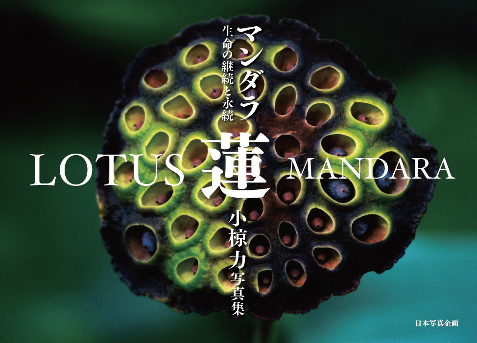 蓮 マンダラ – 日本写真企画 フォトコン