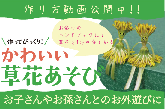 かわいい草花あそび 日本写真企画 フォトコン