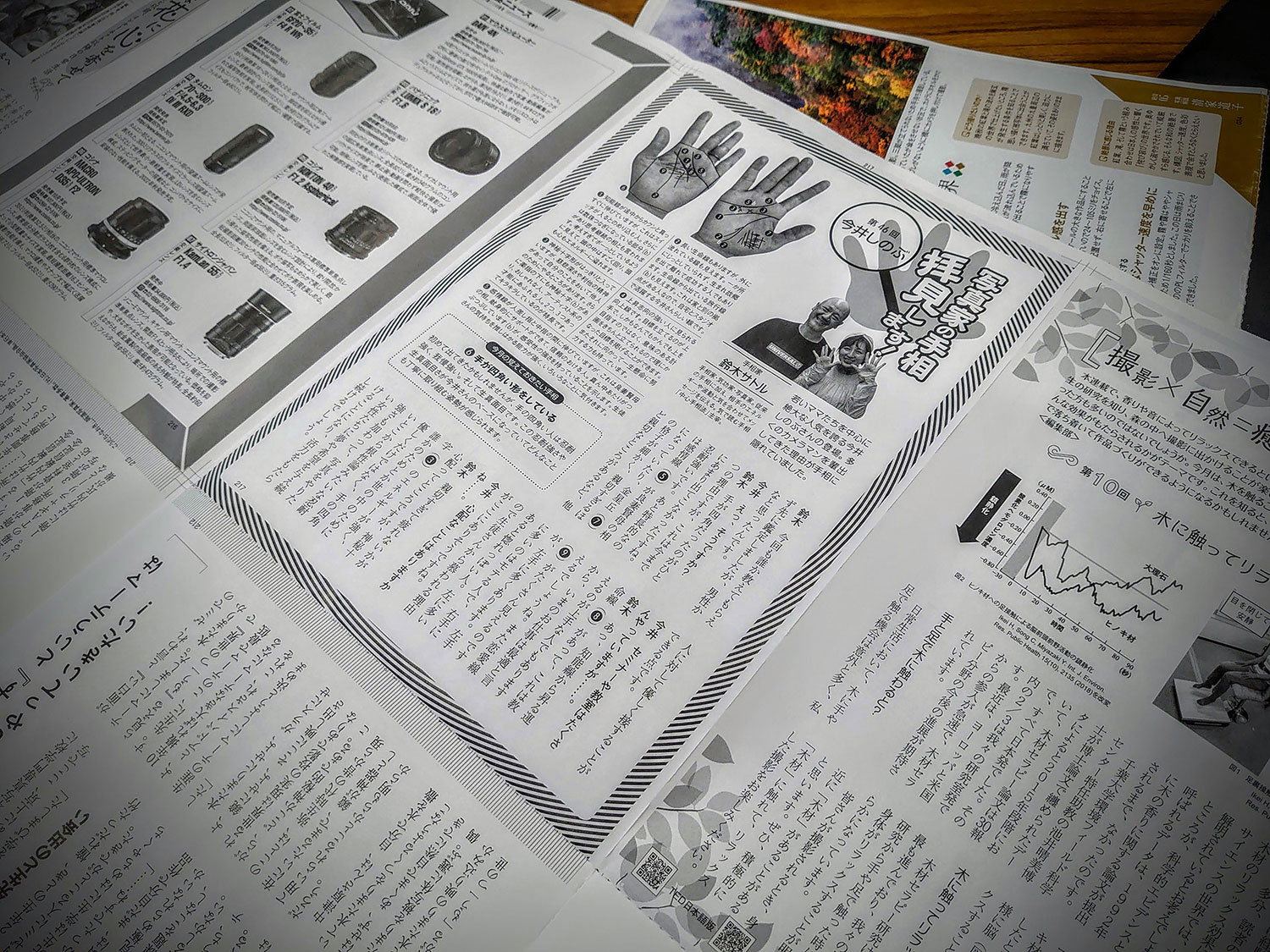 フォトコン10月号-写真家の手相