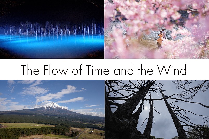 The Flow of Time and the Wind