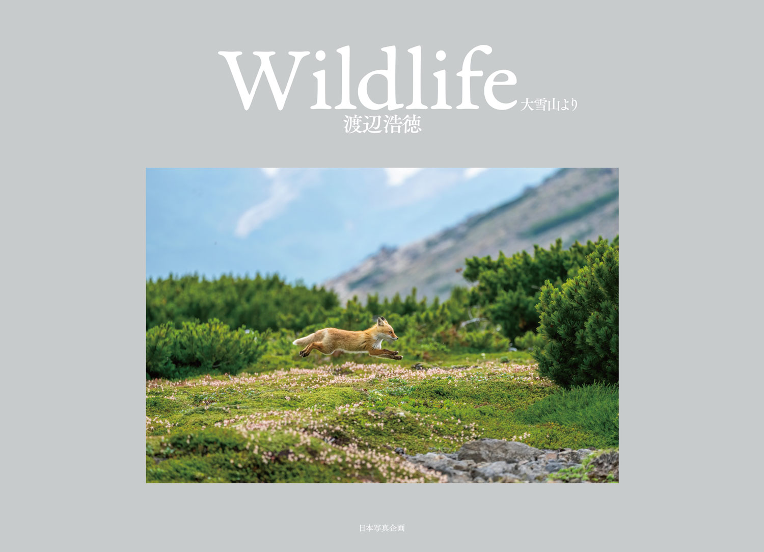Wildlife – 日本写真企画 フォトコン