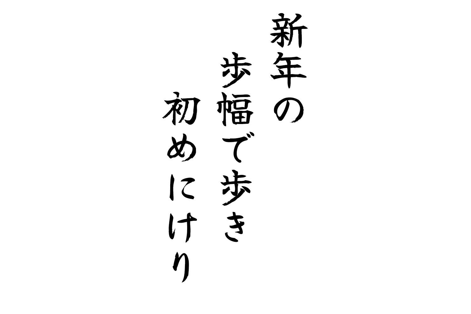 新年の歩幅で歩き初めにけり