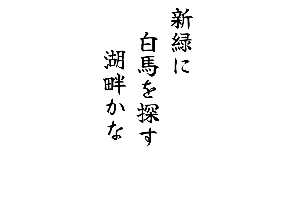 新緑に白馬を探す湖畔かな