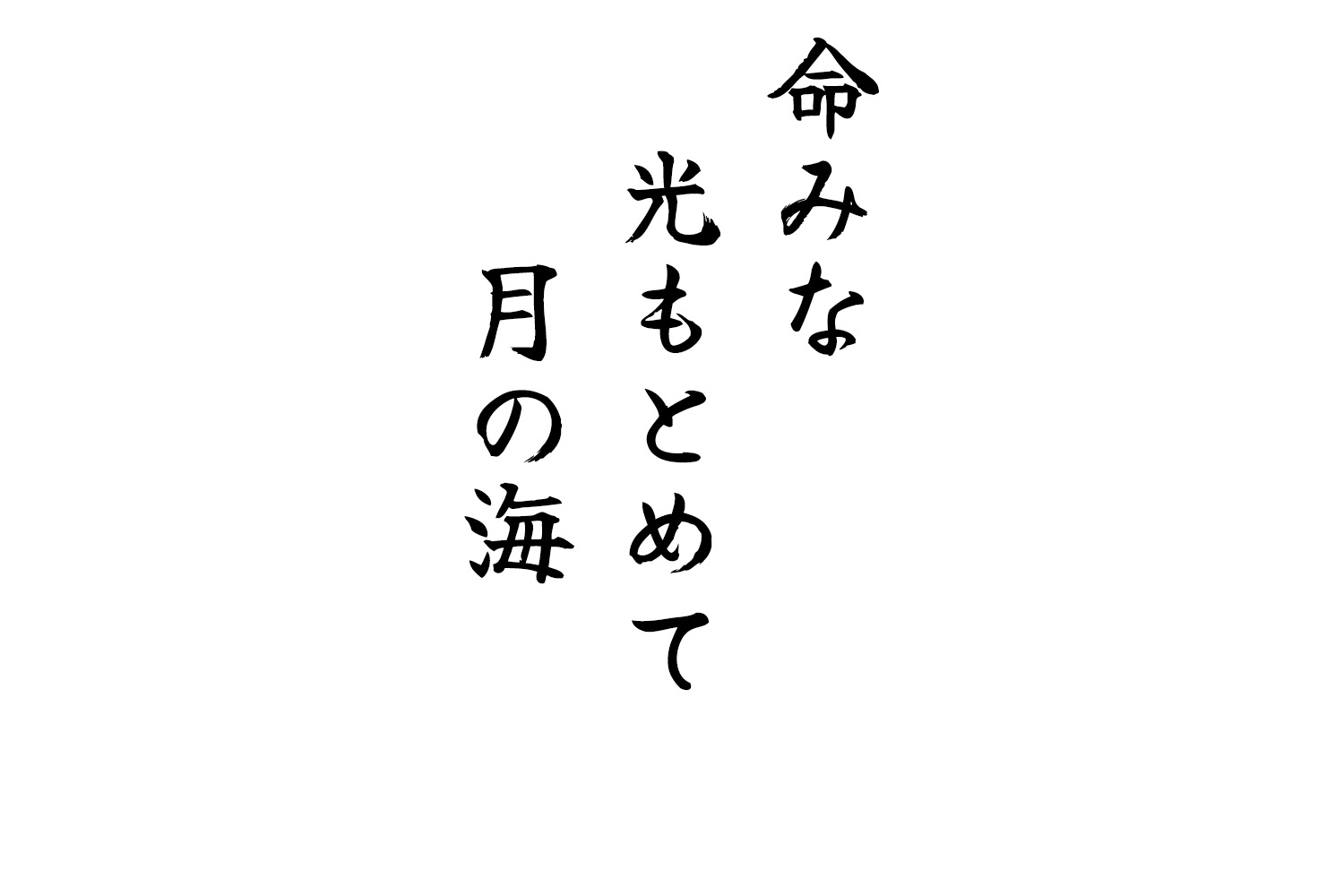 命みな光もとめて月の海