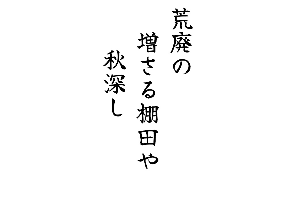 荒廃の増さる棚田や秋深し