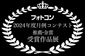 2024年度賞受賞作品