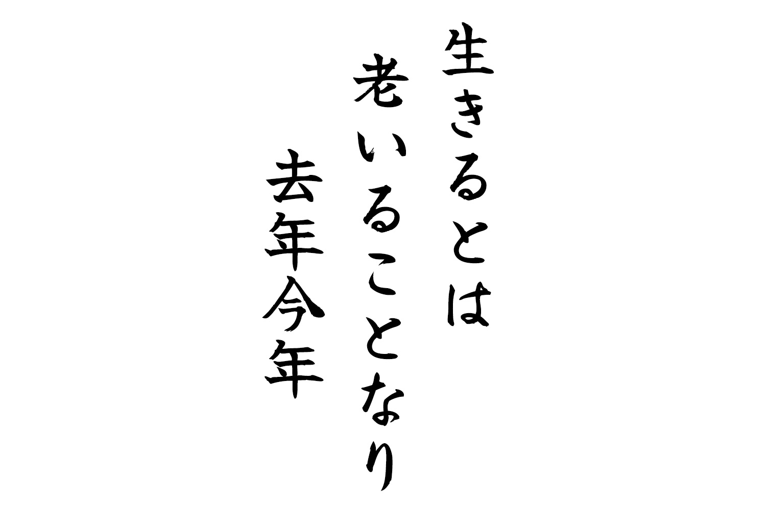 生きるとは老いることなり去年今年