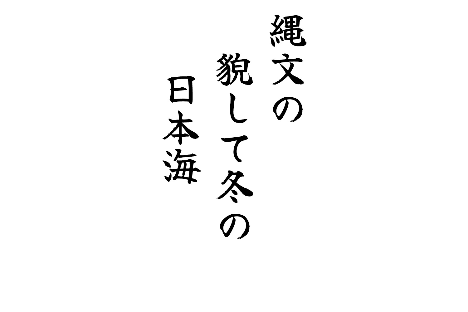 縄文の貌して冬の日本海