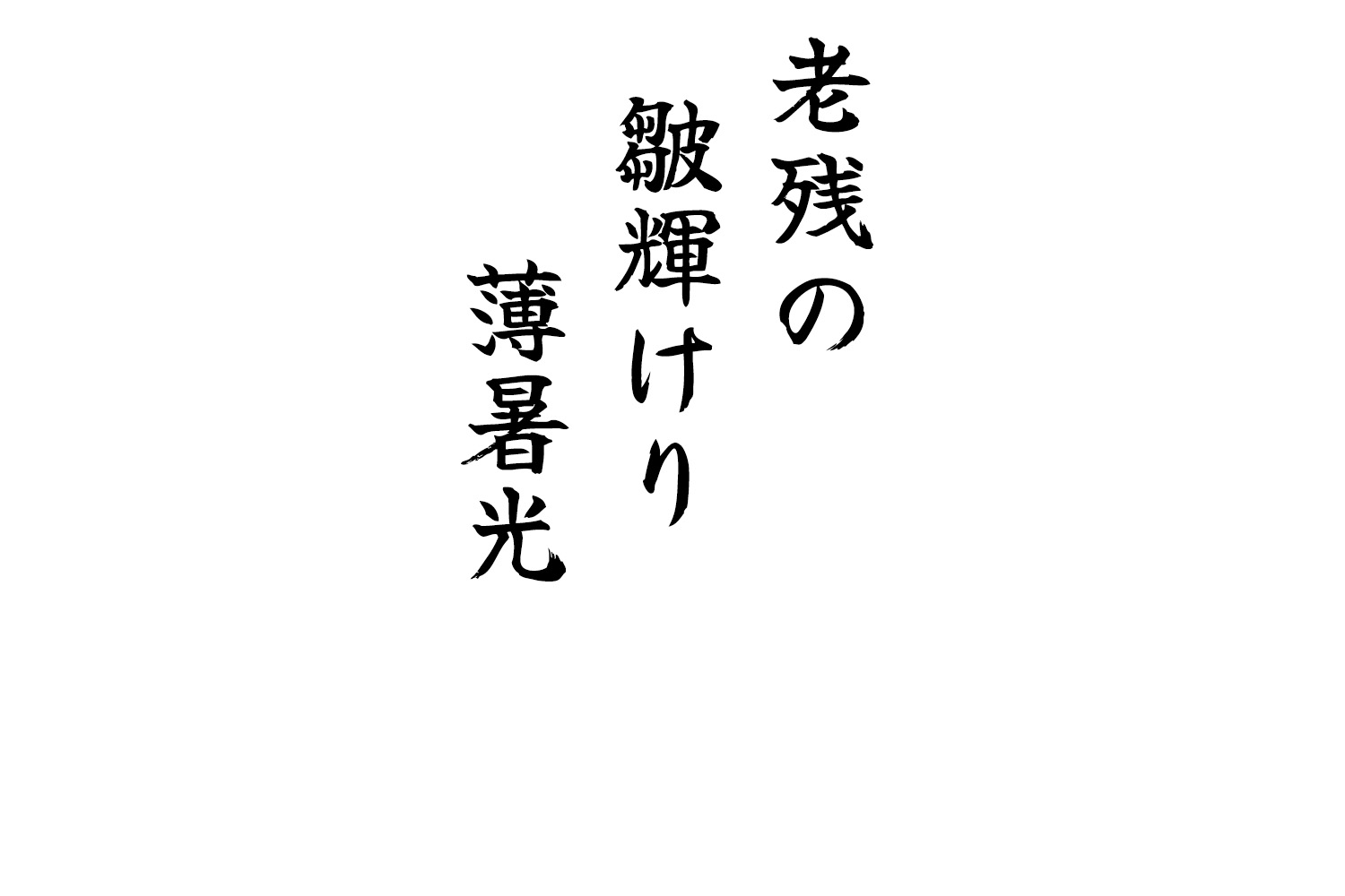 老残の皺輝けり薄暑光