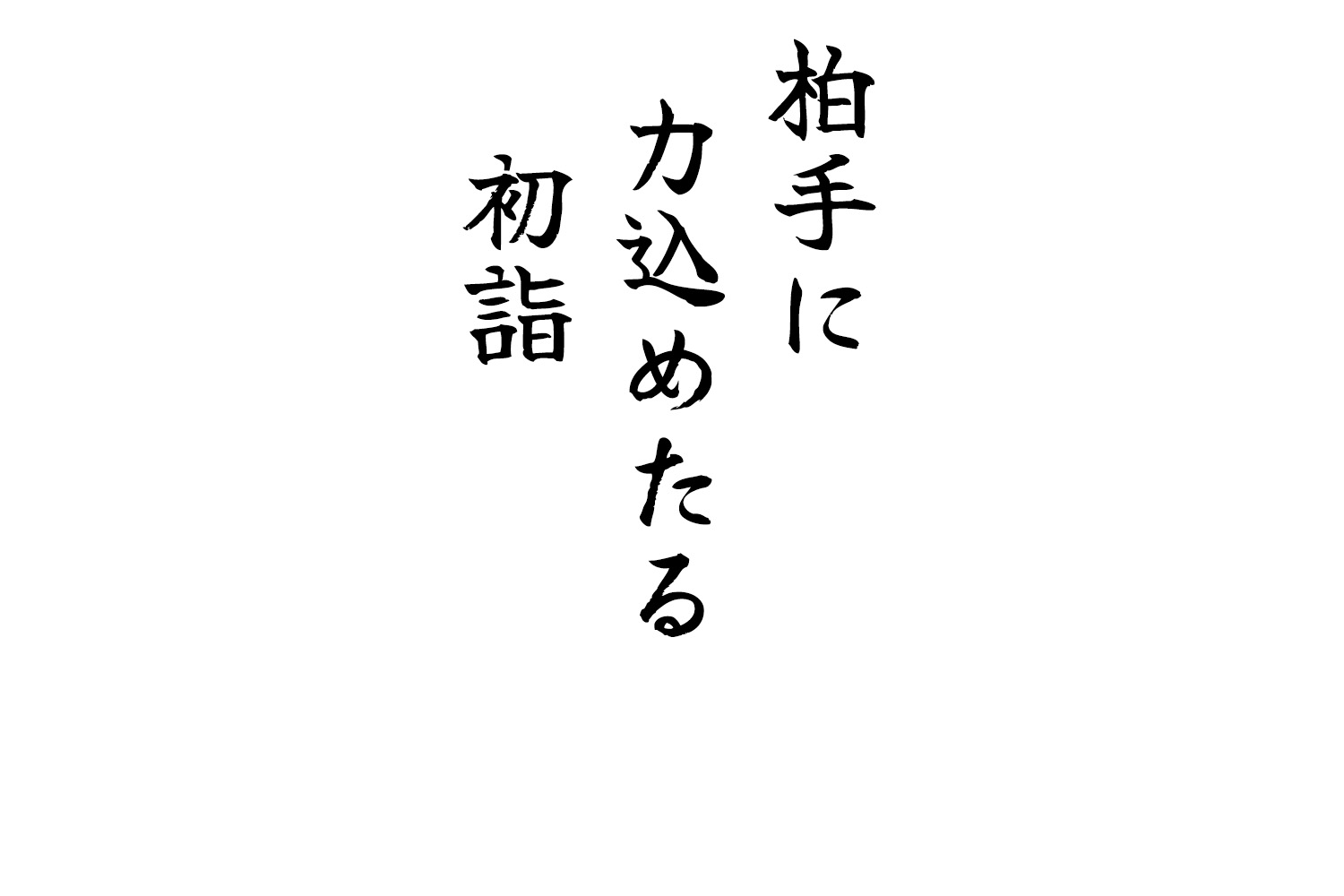 柏手に力込めたる初詣