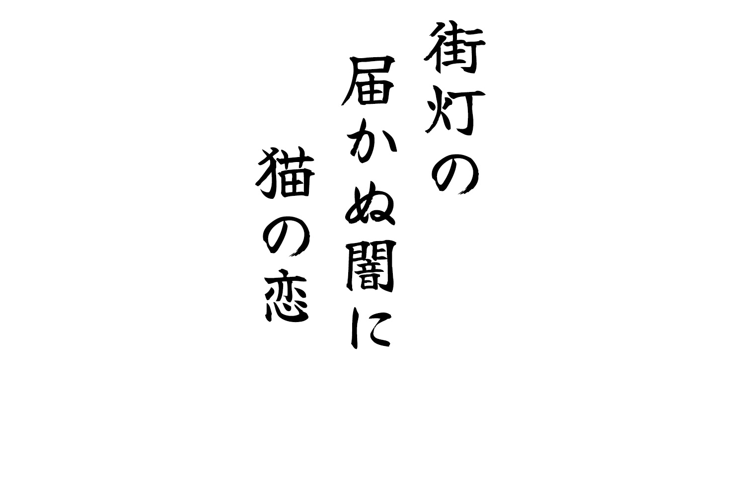 街灯の届かぬ闇に猫の恋