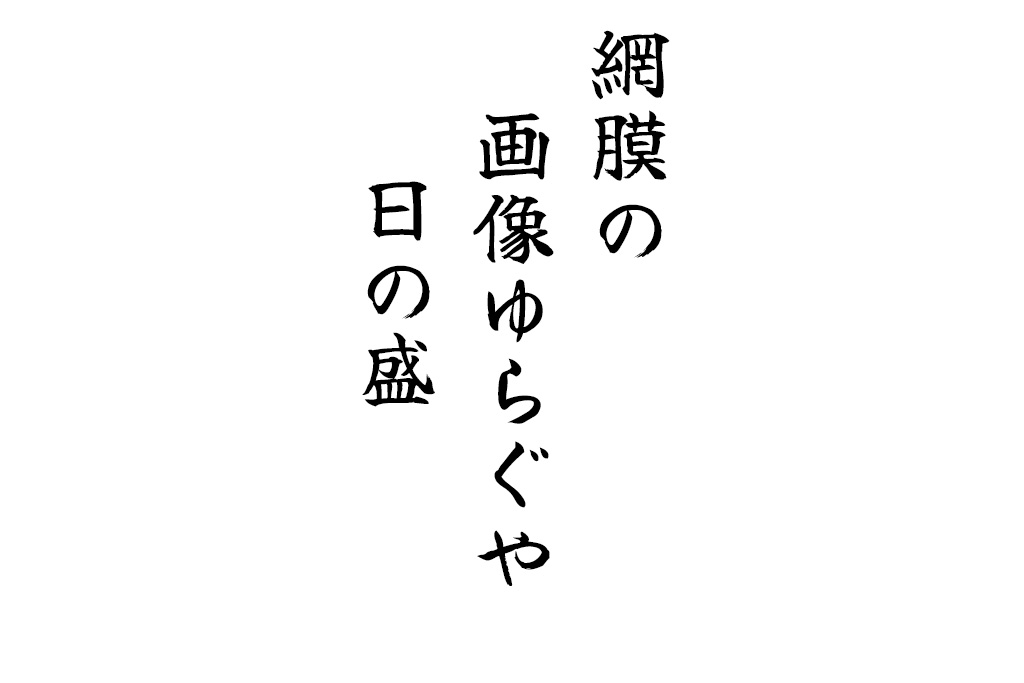 網膜の画像ゆらぐや日の盛