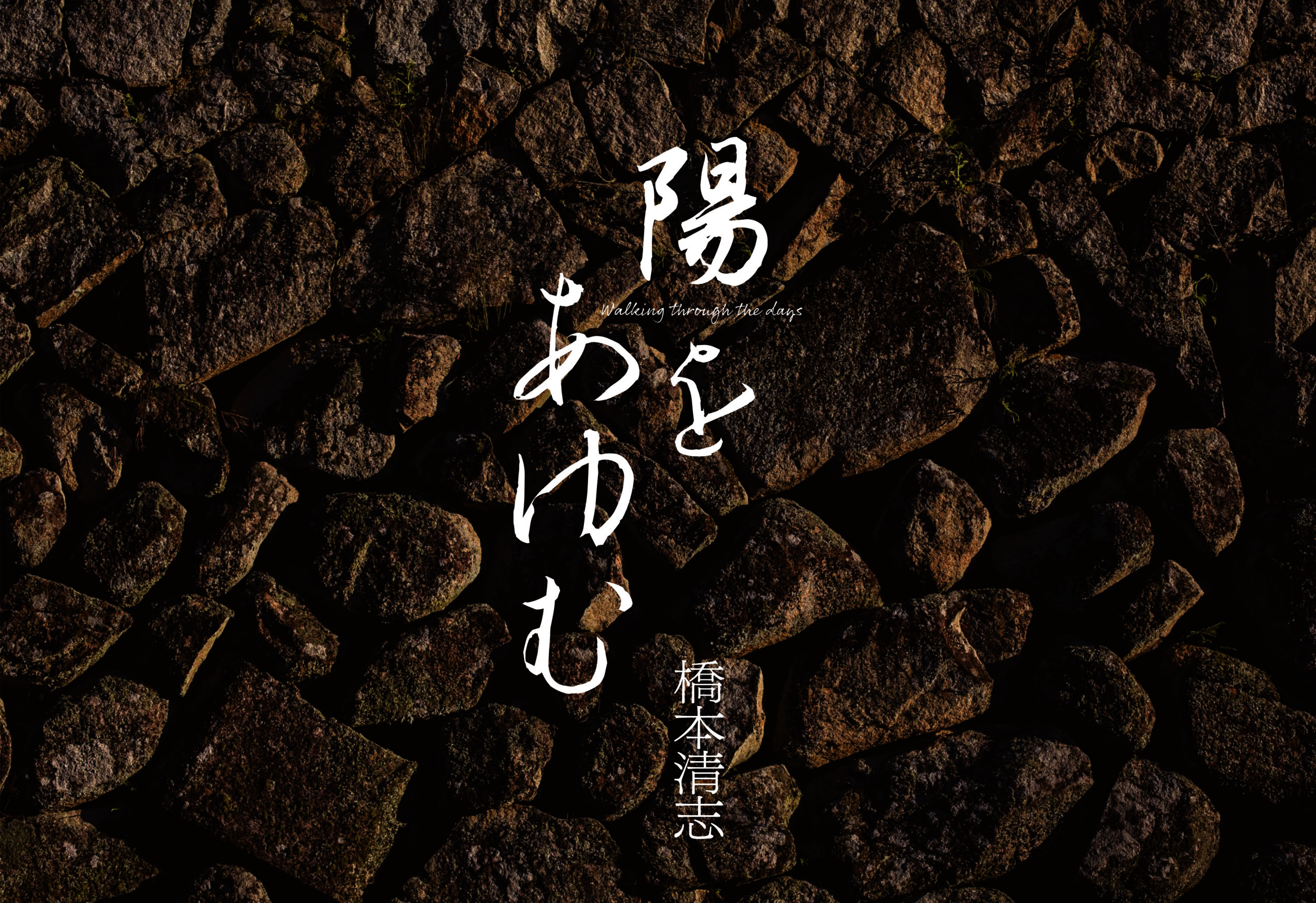 馬の肖像画 ダークブラウンフレーム　158/3500 馬の肖像画 ダークブラウンフレーム 158/3500 馬の肖像画 ダーク