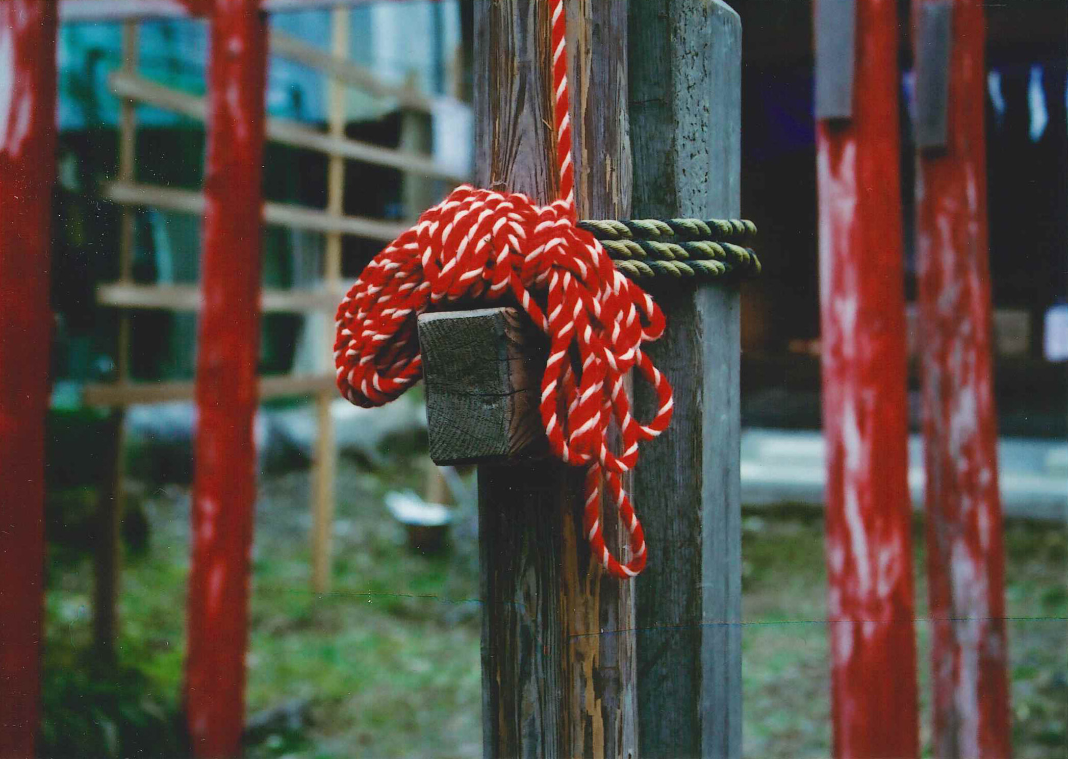 フォト俳句