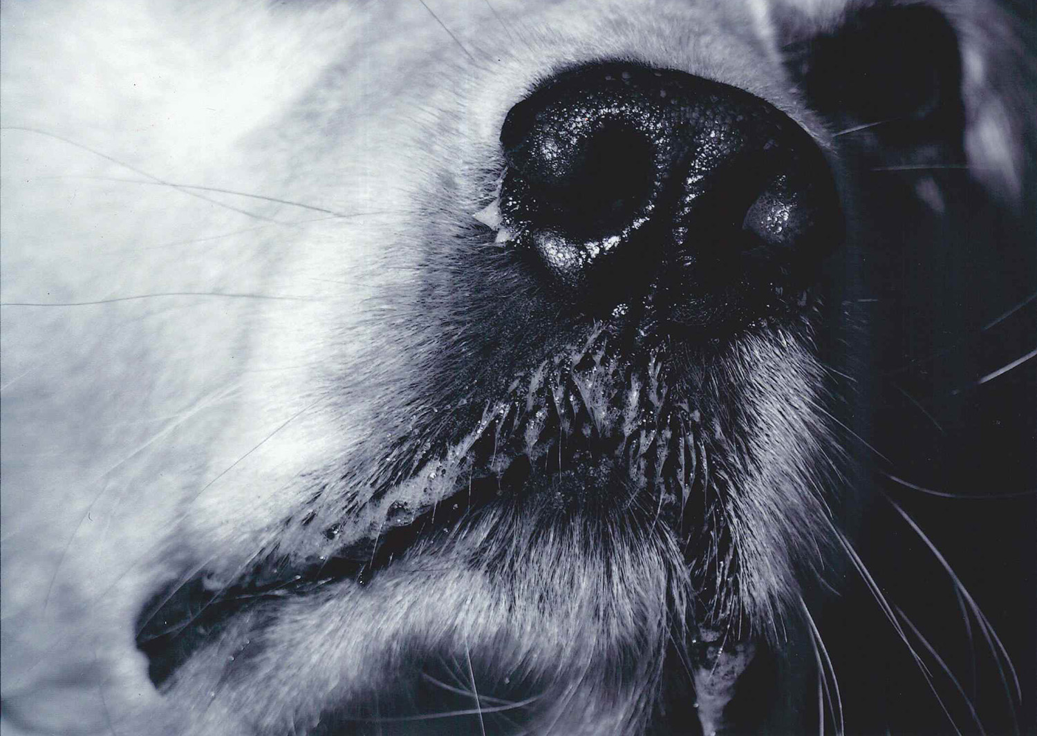 フォト俳句