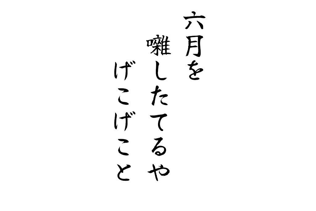 六月を囃したてるやげこげこと