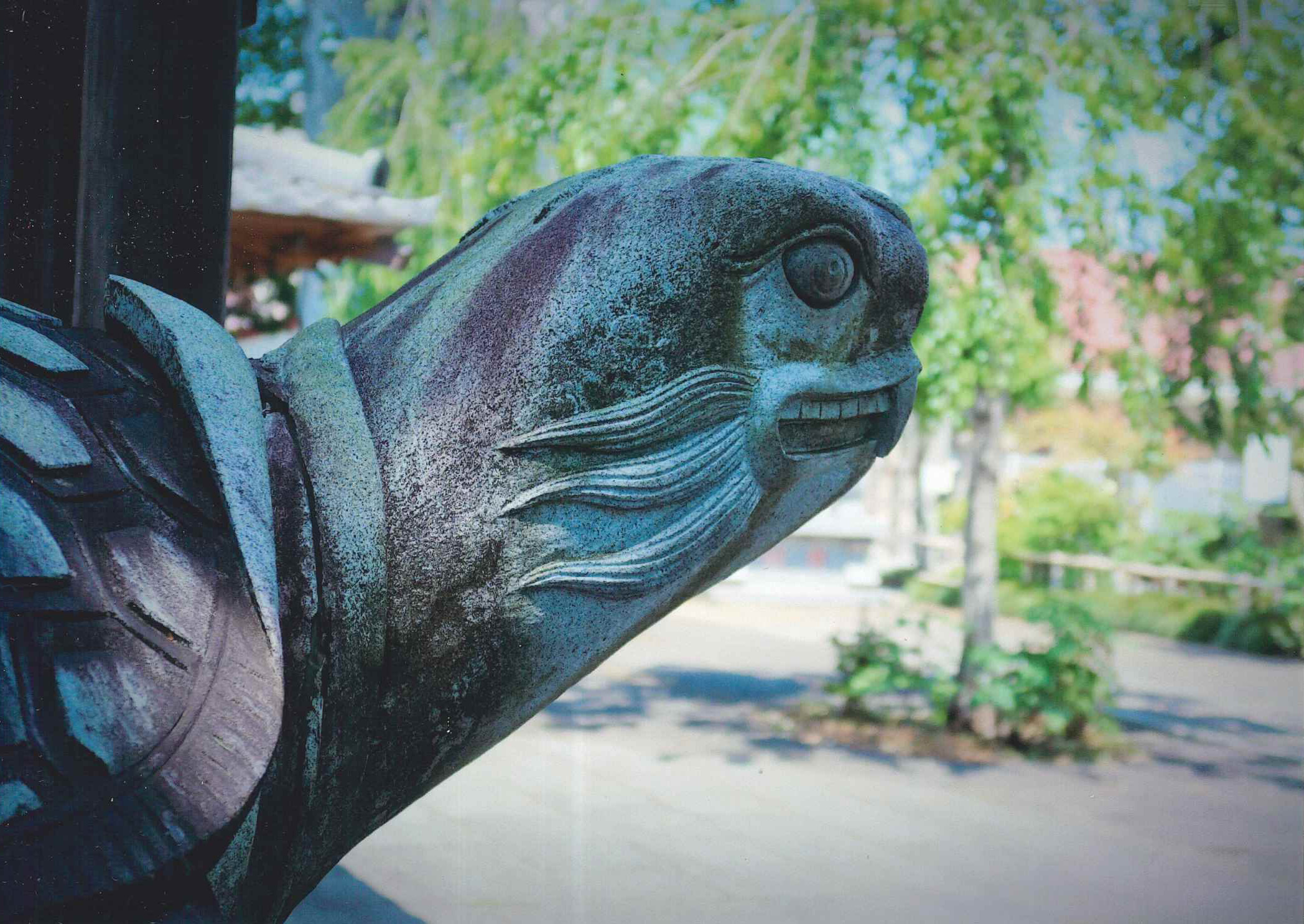 フォト俳句