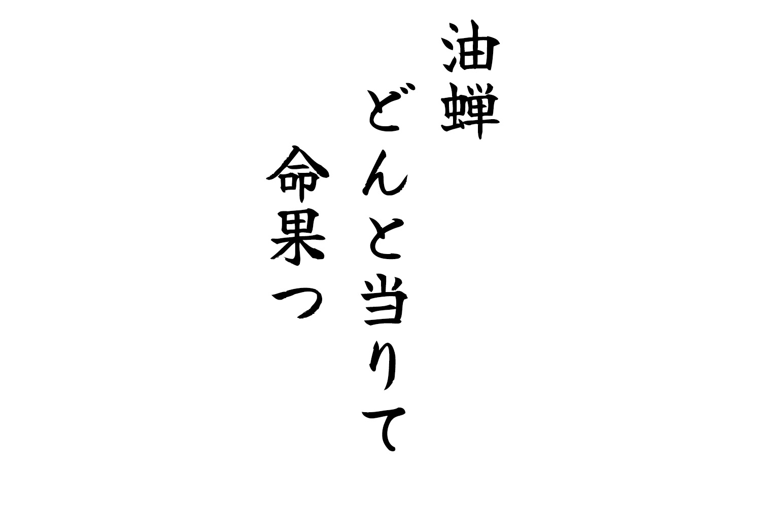 油蝉どんと当りて命果つ